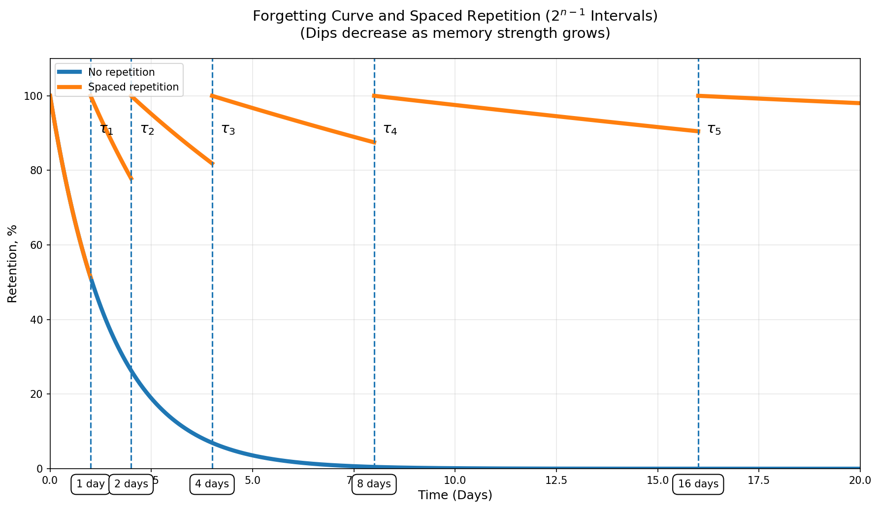 Forgetting curve: memory decays without spaced review